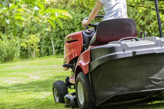 Landscaping services